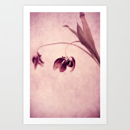 my lady.. Art Print