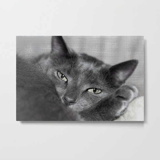 Finlay Metal Print