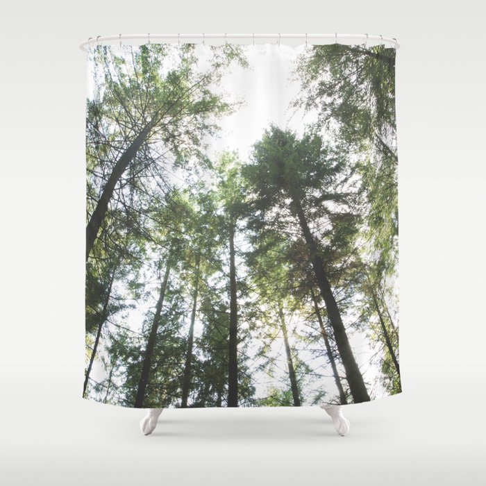 Looking Up At The Pine Trees Shower Curtain By