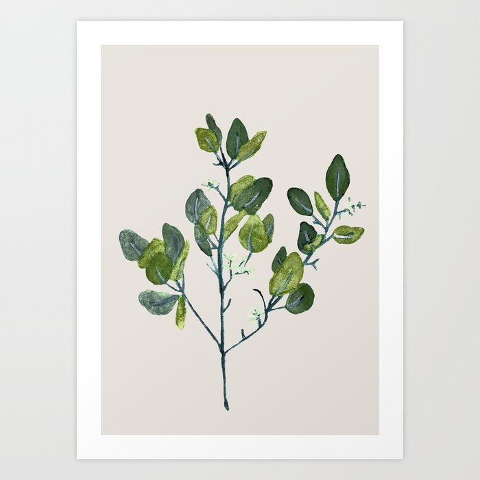 Eucalyptus Branch Art Print