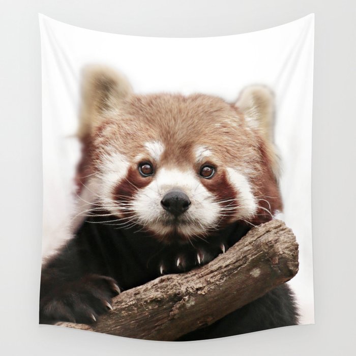 RED PANDA Wall Tapestry