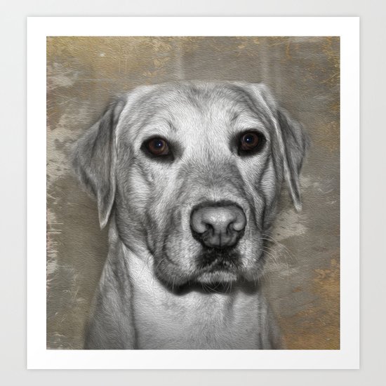 Bailey Art Print