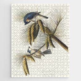 Birds of America (1827) by John James Audubon Jigsaw Puzzle