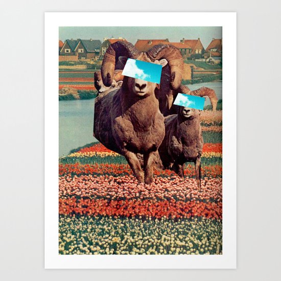 Sky Eyes Art Print