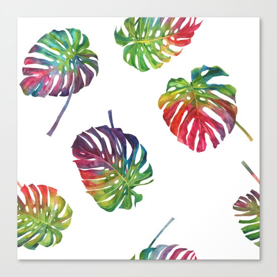 Tropical plant Canvas Print