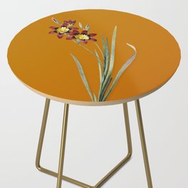 Vintage Ixia Tricolor Botanical Illustration on Bright Orange Side Table