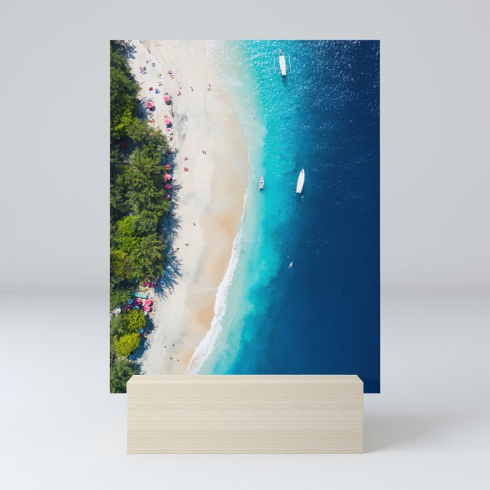 Tropical Coast Mini Art Print