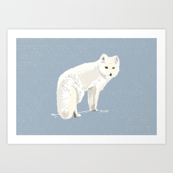 Arctic Fox Solid-Faced Canvas Print