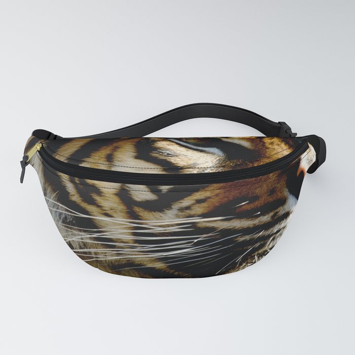 Close-up of Sumatran tiger on a black background Fanny Pack