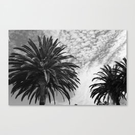 Black and White Palms  Canvas Print