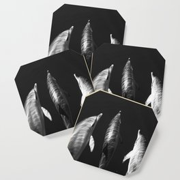 Beautiful wild dolphins black and white Coaster
