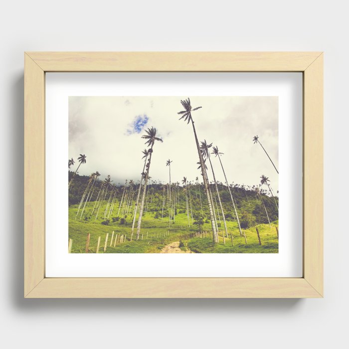 Wax Palms Tower over Cocora Valley Fine Art Print Recessed Framed Print
