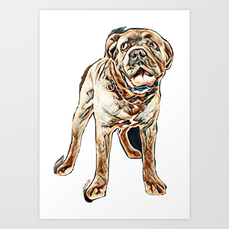 Cane Corso In Front Of White Background Image Art Print By Kemnabi Society6