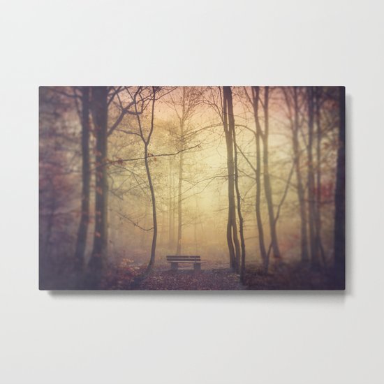 Lover's Bench Metal Print