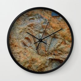 Shell Fossil Wall Clock