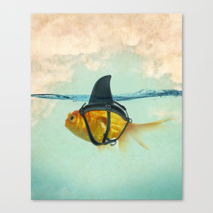 Brilliant DISGUISE - Goldfish with a Shark Fin Leinwanddruck