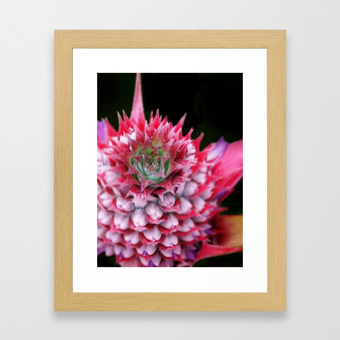 Pink Pineapple Framed Art Print