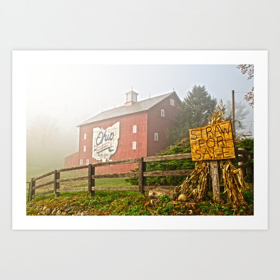 Straw for sale! Art Print