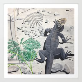 Iguana Art Print