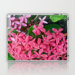 Mexico Photography - Pink Flowers Surrounded By Leaves Laptop Skin