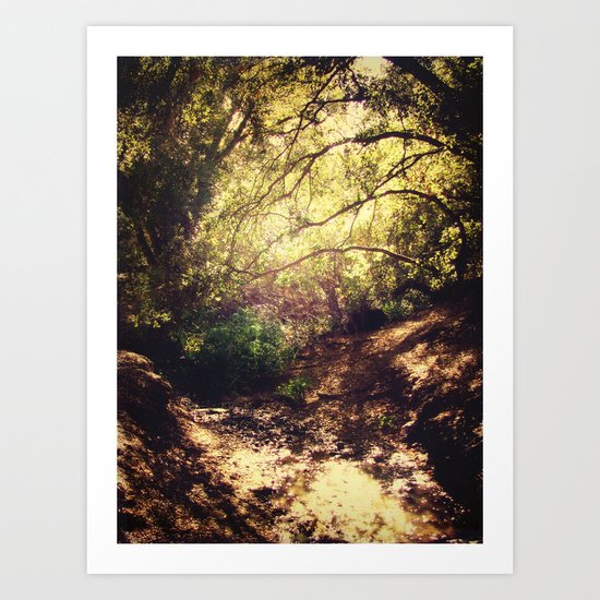 Forest Art Print