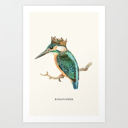 Kingfisher Vintage Art Print