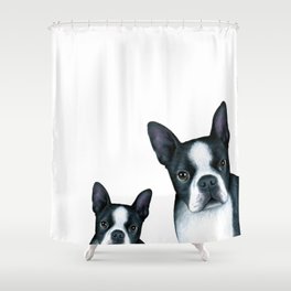 Dog 128 Boston Terrier Dogs black and white Shower Curtain