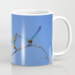 Birds from Pantanal Arara canindé, juntos é bem melhor Coffee Mug | Nature, Pop Art, Animal, Photo 