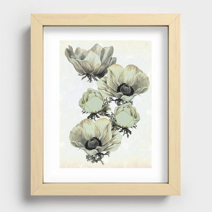 anemone flowers (white background) Recessed Framed Print