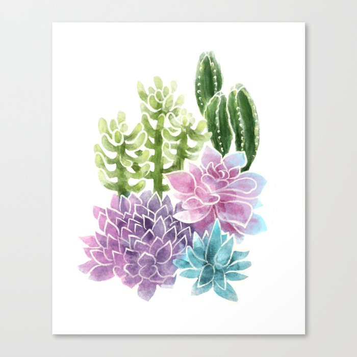 Succulents Canvas Print