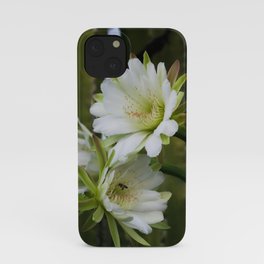 Cereus Morning  iPhone Case