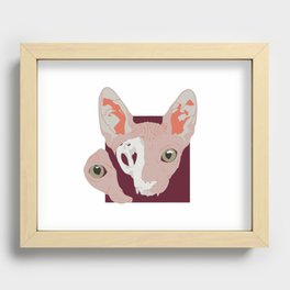 sfioncs Recessed Framed Print