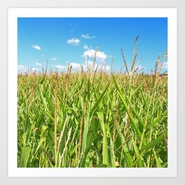 Corn Field Texture/Sky Art Print