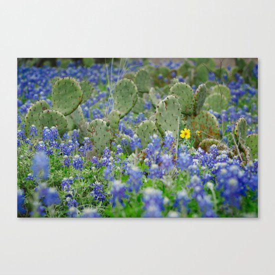 prickly springtime Canvas Print