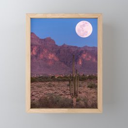 Desert Cactus, Grand Canyon, Arizona, Full Moon Framed Mini Art Print