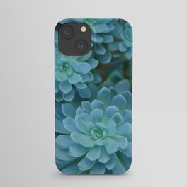 Succulent _001 iPhone Case