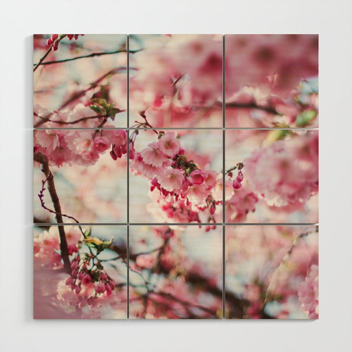 Cherry Blossom, Sakura Flower Wood Wall Art