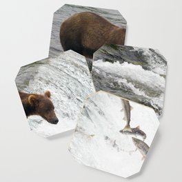Patience pays off for a fishing grizzly bear Coaster