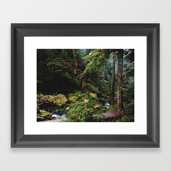 Late Fall Forest Framed Art Print