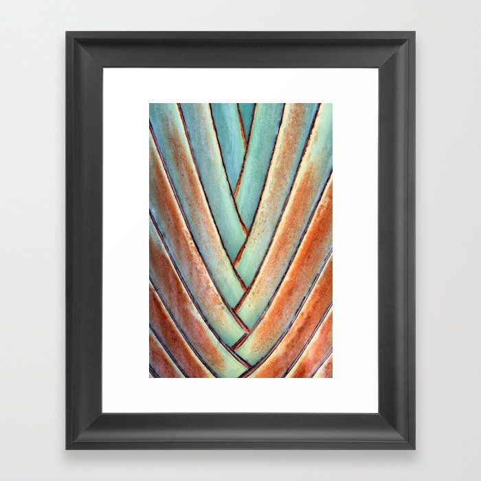 Pastel Tint Of Traveler's Tree Bark Framed Art Print