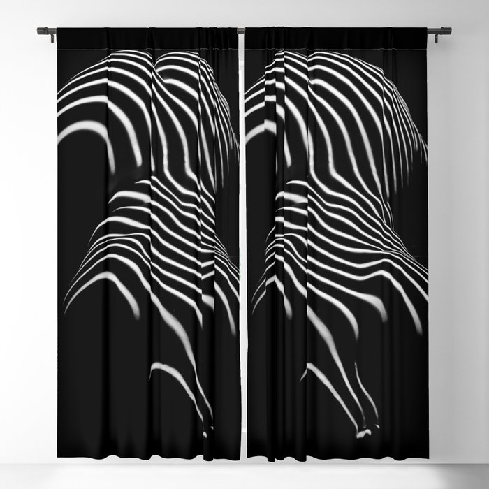 Blackout Curtain
