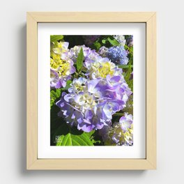 Purple Hydrangea Recessed Framed Print