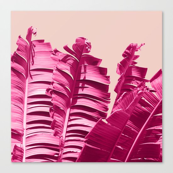 Walk This Way Canvas Print