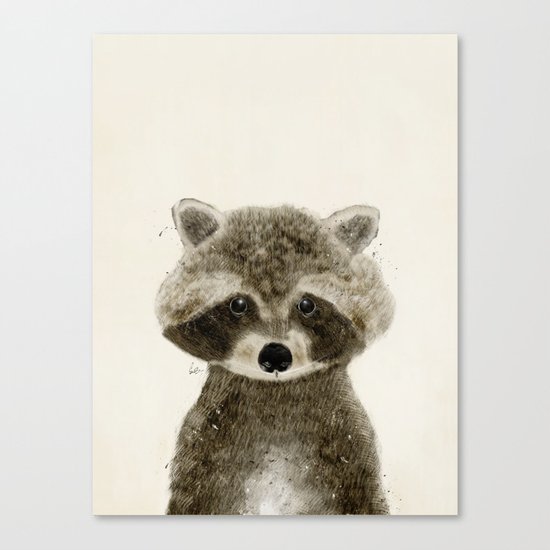 little raccoon Canvas Print