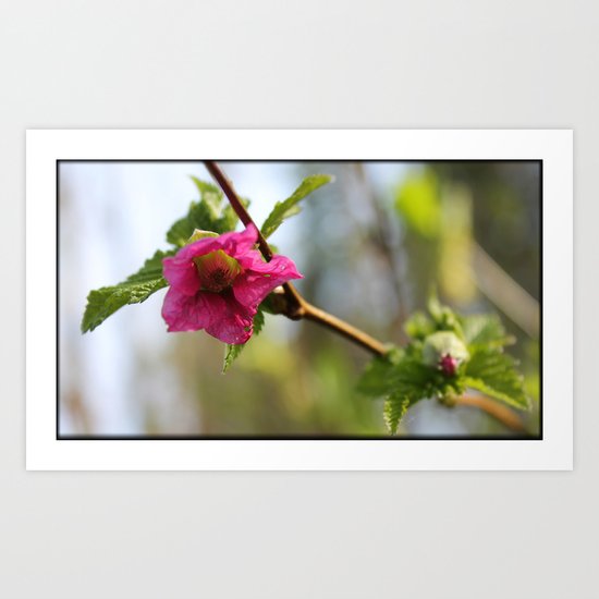 Red Spring Art Print