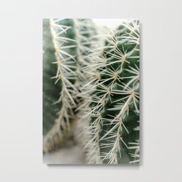 Cuddling cacti - 7 Metal Print