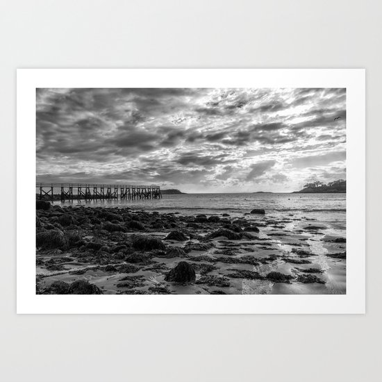 Magnolia Pier #2 B&W Art Print