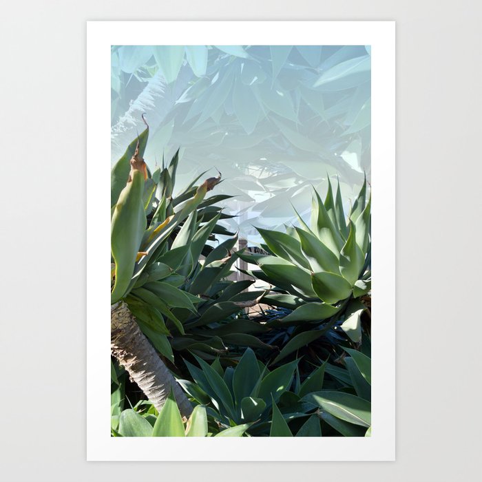 Palm Art Print