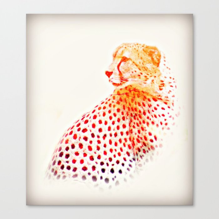 Sunset Cheetah Canvas Print