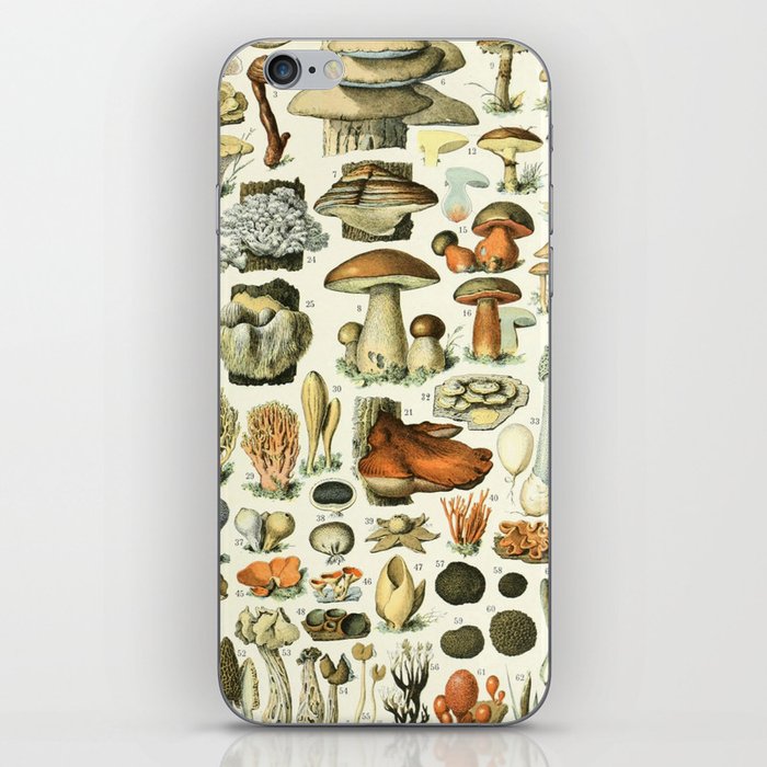 Mushrooms 2 by Adolphe Millot iPhone Skin